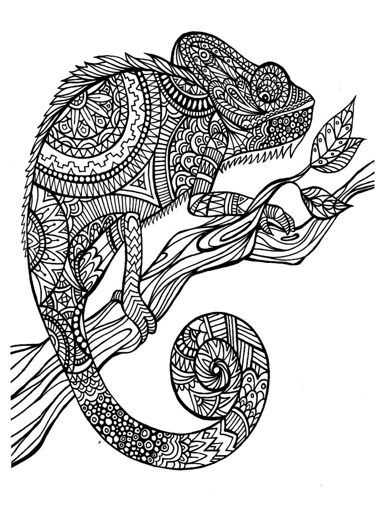 Animaux Cameleon – Caméléons Et Lézards – Coloriages Difficiles Pour tout Jeux De Coloriage De Mandala Pour Adulte