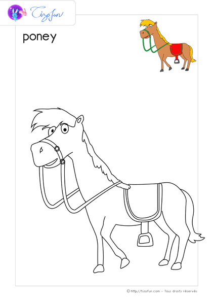 Animaux-Ferme-Dessin-A-Colorier-Poney-Coloriage | Animaux À Colorier destiné Coloriage Animaux De La Ferme Pdf