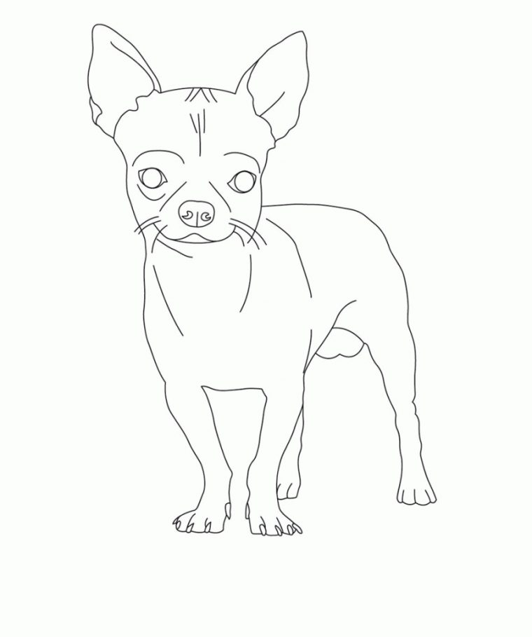 Chihuahua Coloring Pages – Best Coloring Pages For Kids avec Coloriage Cartoon Dog