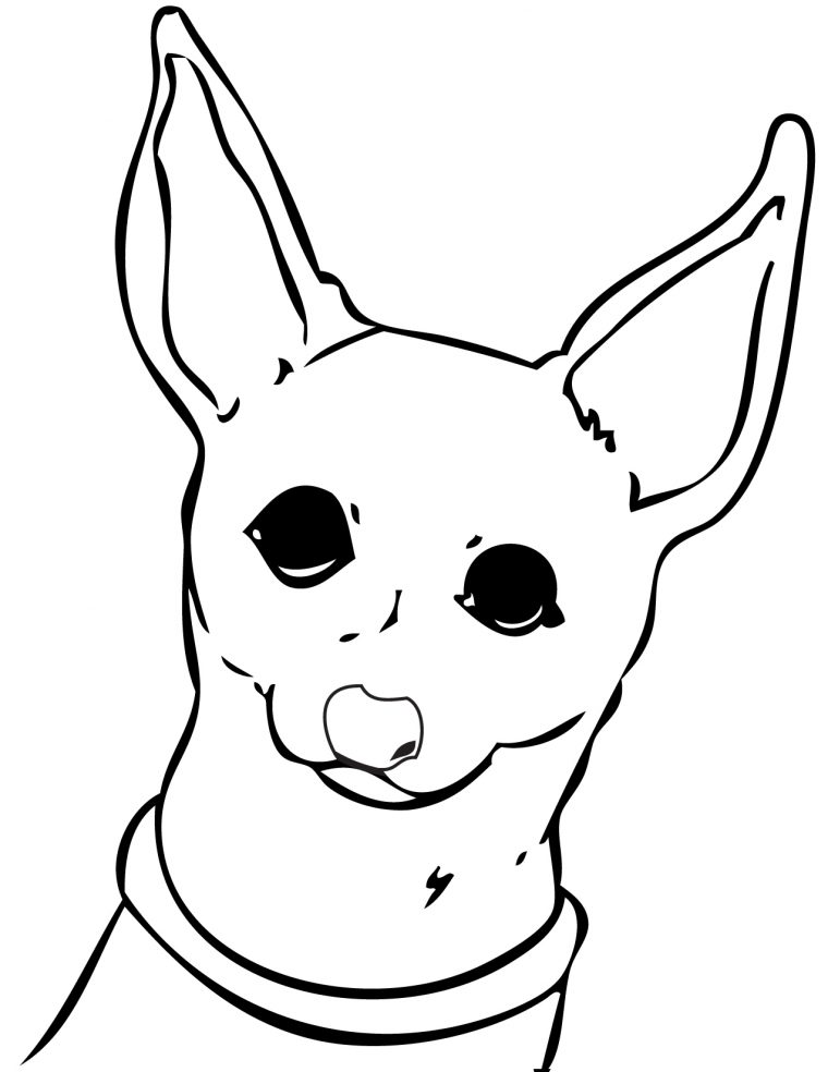 Chihuahua Dog Coloring Pages Download And Print For Free tout Coloriage Cartoon Dog