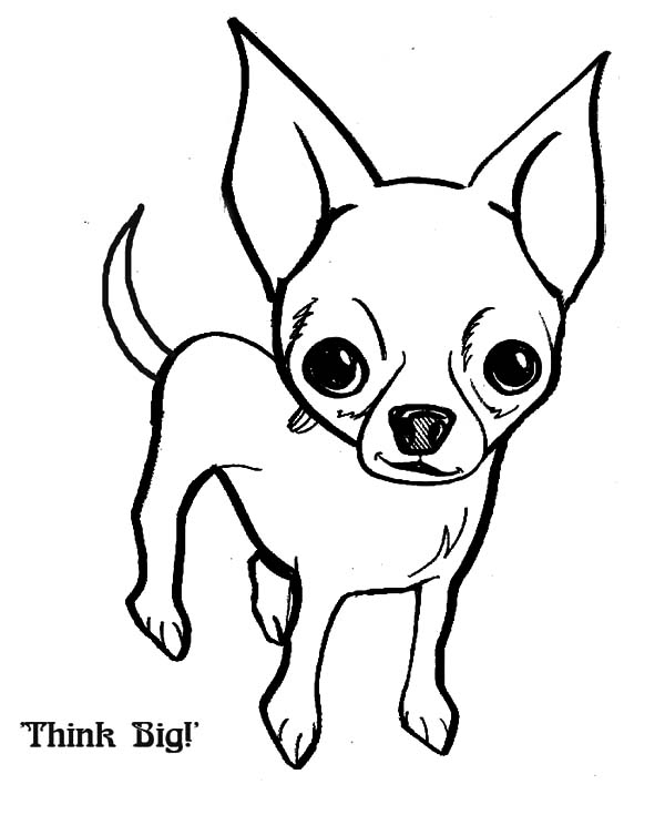 Chihuahua Dog Think Big Coloring Pages à Coloriage Cartoon Dog