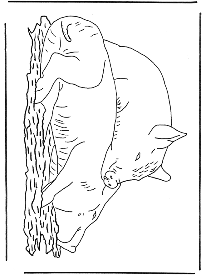 Cochons 1 – Coloriages Animaux De La Ferme serapportantà Coloriage Animaux 9 Ans