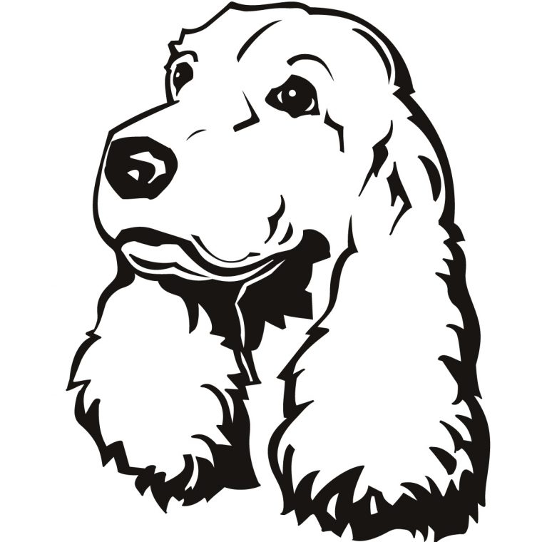 Cocker Spaniel Dog Animals Wall Art Sticker Wall Decal Transfers serapportantà Coloriage Cartoon Dog