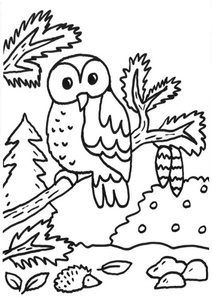 Coloriage À Imprimer : Chouette Dans La Forêt En Automne dedans Coloriage Animaux Foret Imprimer