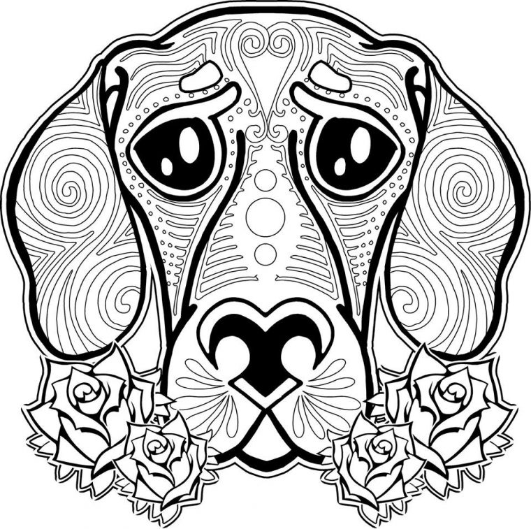 Coloriage Adulte Animaux Gratuit À Imprimer Et Colorier pour Coloriage Animaux Gratuit