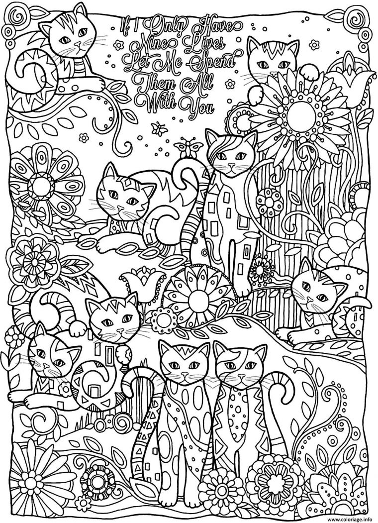 Coloriage Adulte Animaux Plein Chats Dessin Adulte Animaux À Imprimer avec Coloriage Animaux Gratuits Imprimer