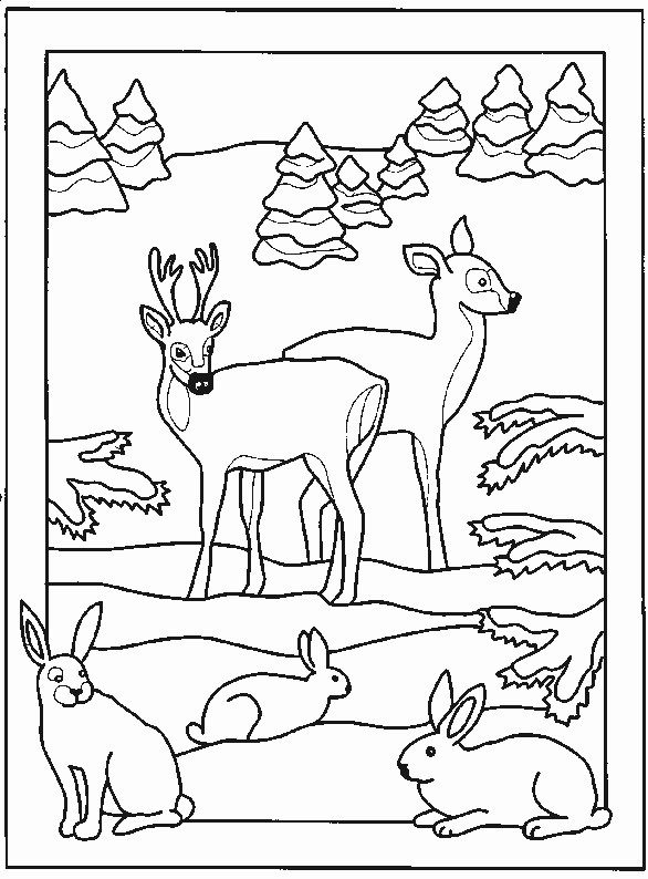 Coloriage Animaux Dans La Forêt Facile Dessin Gratuit À Imprimer tout Dessin A Colorier Facile Animaux