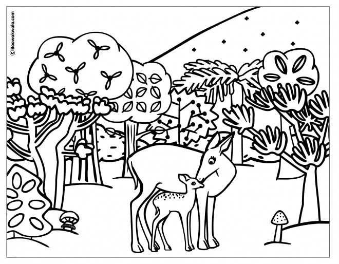 Coloriage Animaux De Forêt Dessin Gratuit À Imprimer dedans Coloriage Animaux Foret Imprimer