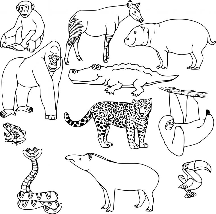 Coloriage Animaux Sauvages À Imprimer serapportantà Dessin A Colorier Facile A Imprimer