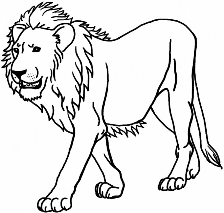 Coloriage Animaux Sauvages À Imprimer Sur Coloriages encequiconcerne Coloriage Animaux Gratuits Imprimer