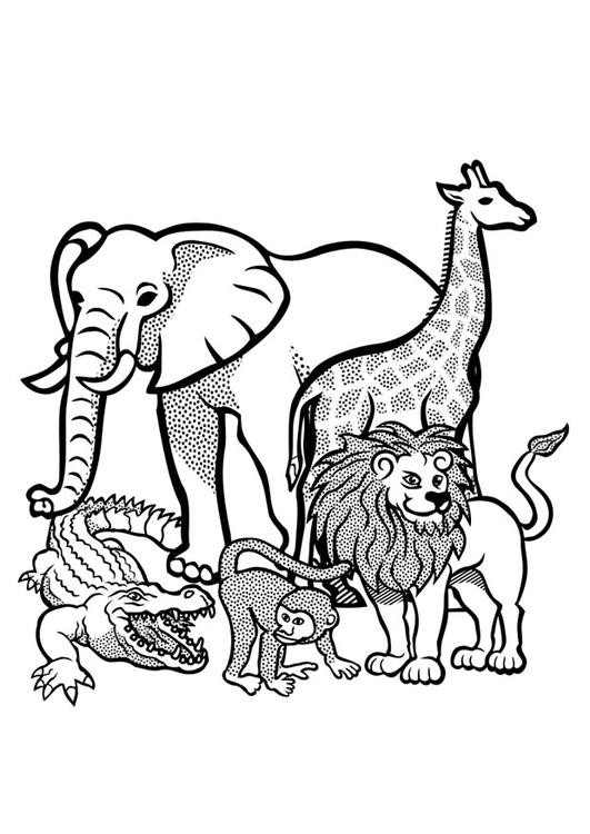 Coloriage Animaux Sauvages D'Afrique Vecteur Dessin Gratuit À Imprimer avec Dessin A Colorier Facile Animaux