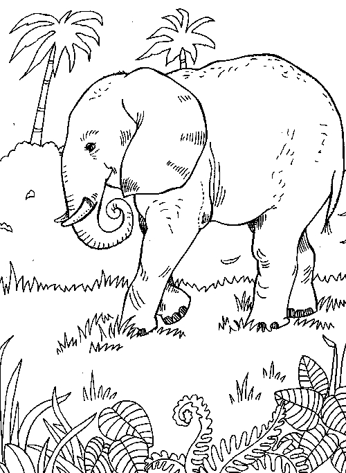 Coloriage Animaux Sauvages / De La Jungle #21274 (Animaux) – Album De intérieur Coloriage Gratuit Animaux De La Jungle À Imprimer