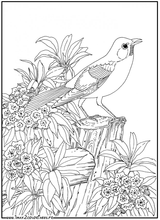 Coloriage Animaux Zen Facile Dessin Gratuit À Imprimer pour Dessin A Colorier Facile A Imprimer