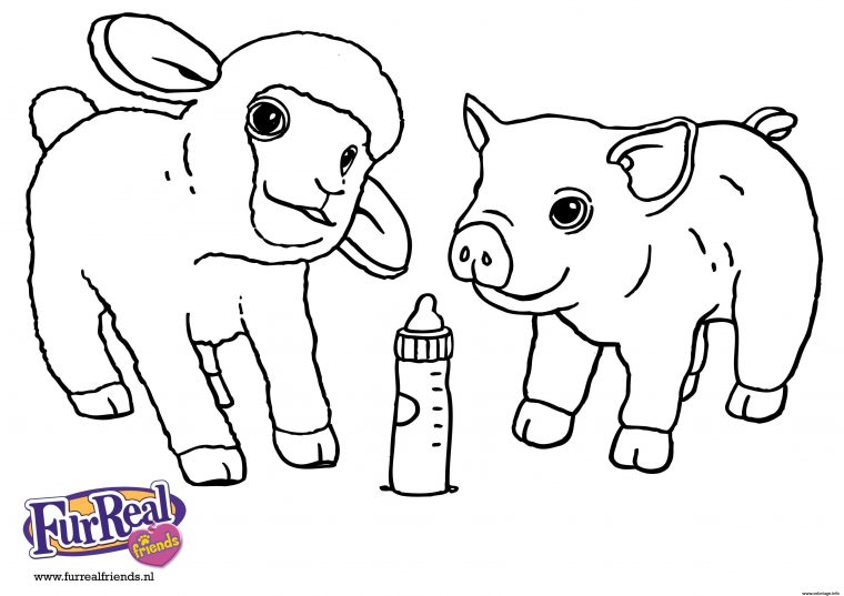 Coloriage Bebe Mouton Et Bebe Cochon Animaux De La Ferme Dessin Mouton tout Coloriage Animaux Ferme Maternelle