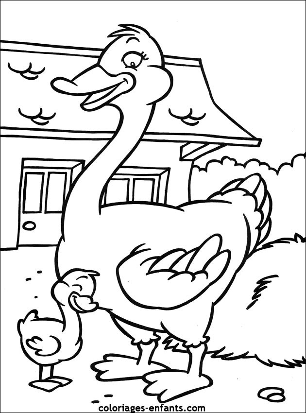 Coloriage Canard De La Ferme Dessin Gratuit À Imprimer avec Coloriage Animaux Ferme À Imprimer