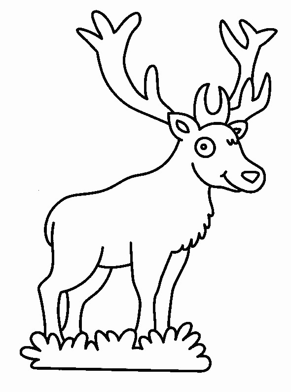 Coloriage Cerf Dans La Forêt Facile Dessin Gratuit À Imprimer destiné Coloriage Animaux Foret Imprimer