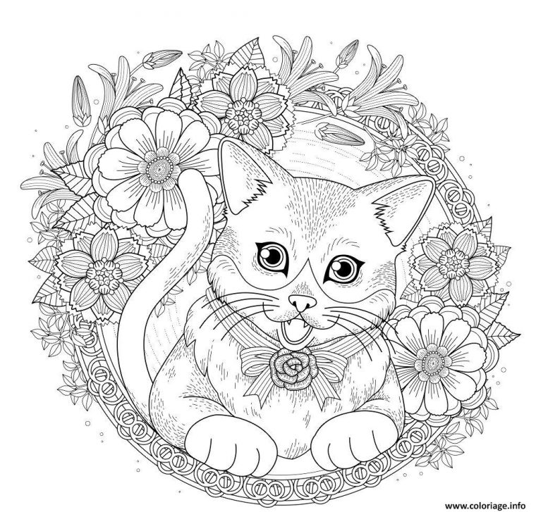 Coloriage Chat Mandala Avec Fleurs Et Roses Dessin Chat À Imprimer à Coloriage Dessin A Imprimer Gratuit