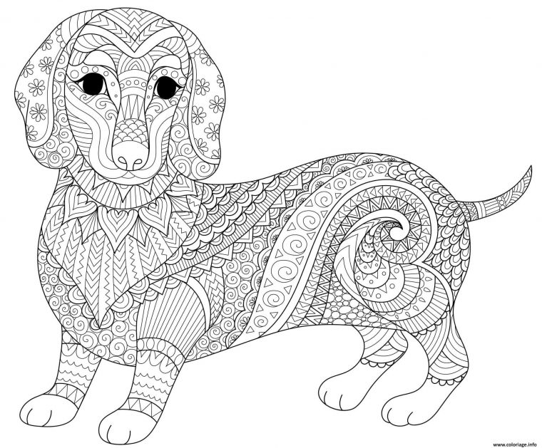 Coloriage Chien Saucisse Dachshund Teckel Mandala Animaux Dessin Adulte encequiconcerne Coloriage Animaux 4 Ans