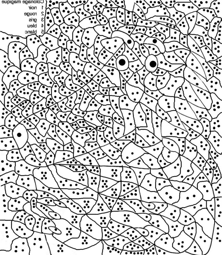 Coloriage Cm2 Unique Photos Coloriage Magique Maths Cm2 Gratuit encequiconcerne Cm2 Coloriage Magique