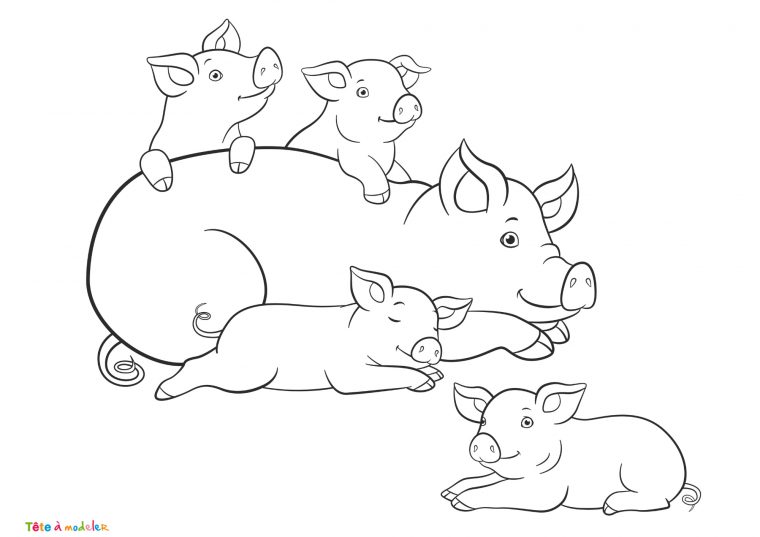 Coloriage Cochon #01 : Un Dessin À Imprimer De Tête À Modeler avec Coloriage Animaux 6 Mois