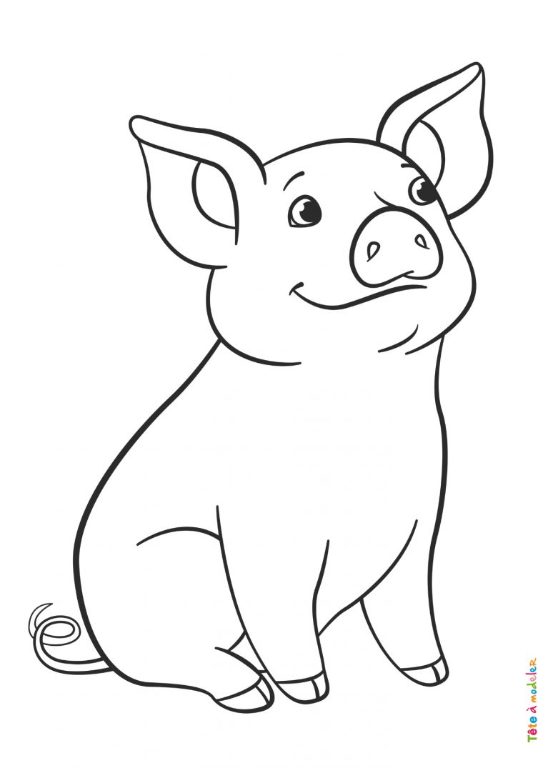 Coloriage Cochon #05 : Un Dessin À Imprimer De Tête À Modeler concernant Coloriage Animaux 6 Mois