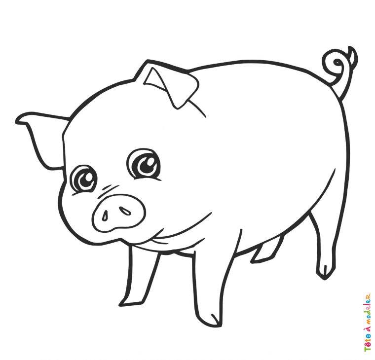 Coloriage Cochon #09 : Un Dessin À Imprimer De Tête À Modeler tout Coloriage Animaux 6 Mois