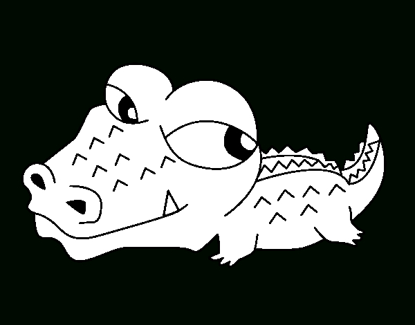 Coloriage De Crocodile Petit Pour Colorier – Coloritou pour Coloriage En Ligne Ô Majuscule