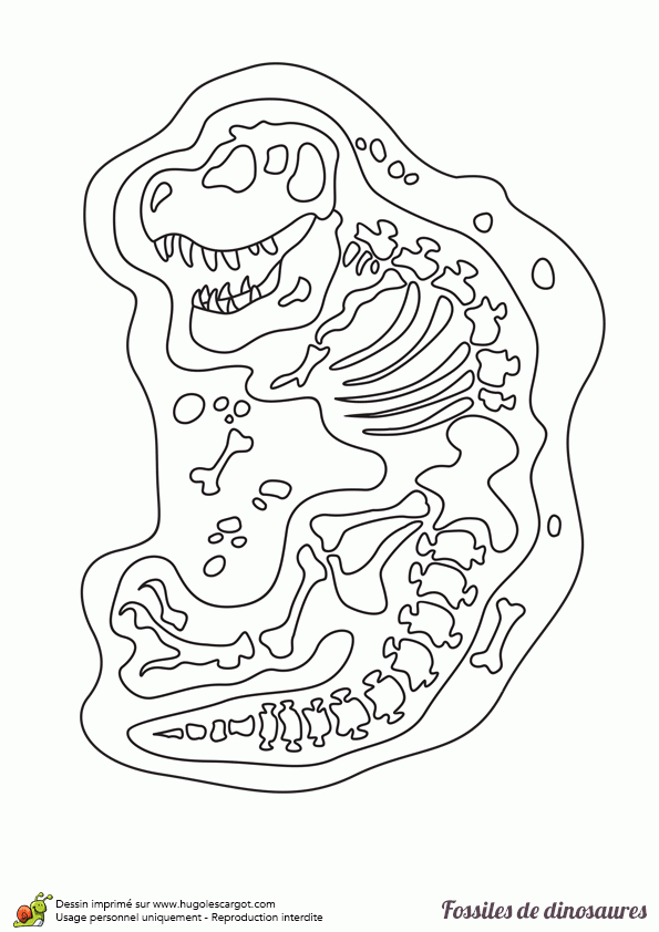 Coloriage De Fossiles De Dinosaures, Des Os À Déterrer pour Coloriage Experience Scientifique