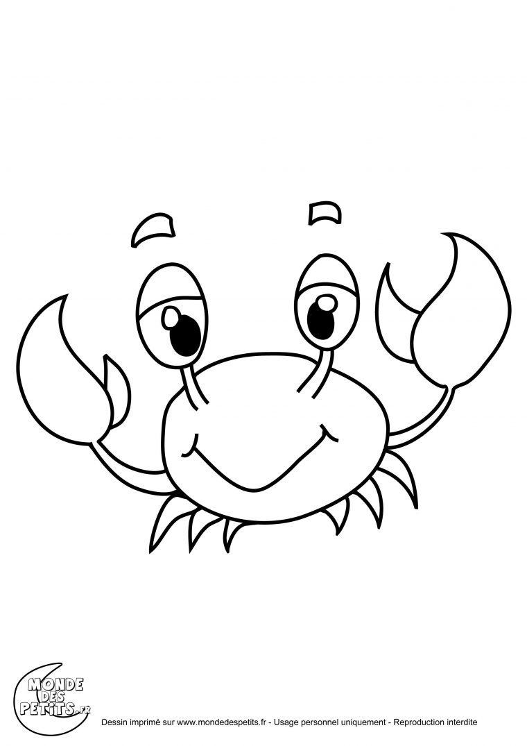 Coloriage De Petit Marin – Recherche Google | Coloriage, Coloriage encequiconcerne Coloriage Animaux À Dessiner