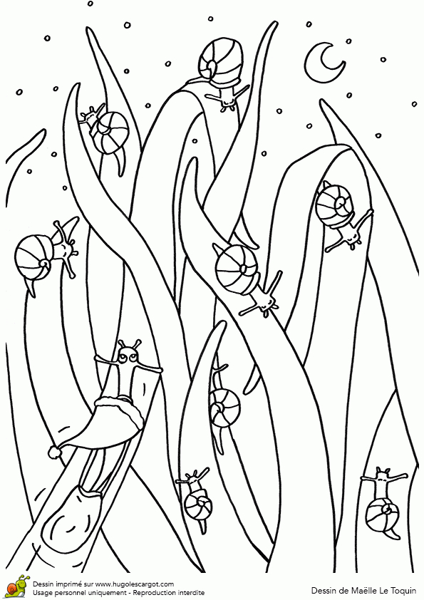 Coloriage Escargots Sur Hugolescargot serapportantà Hugo L&#039;Escargot Escargot