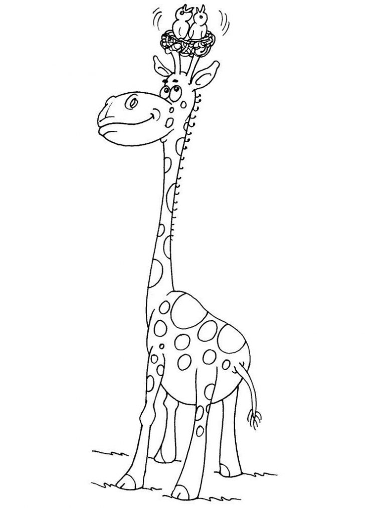 Coloriage Girafe 23 – Coloriage Girafes – Coloriages Animaux dedans Coloriage Animaux Girafe