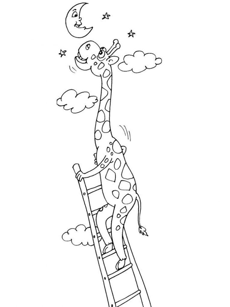 Coloriage Girafe 28 – Coloriage Girafes – Coloriages Animaux concernant Coloriage Animaux Girafe