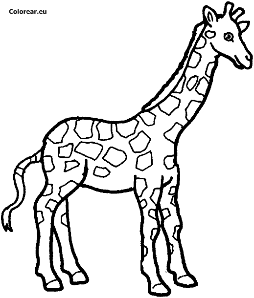 Coloriage Girafe #7261 (Animaux) – Album De Coloriages serapportantà Coloriage Animaux Girafe