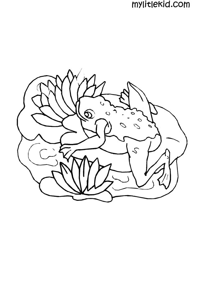 Coloriage Grenouilles. Imprimer Ou Télécharger Gratuitement pour Coloriage Animaux Être Heureux