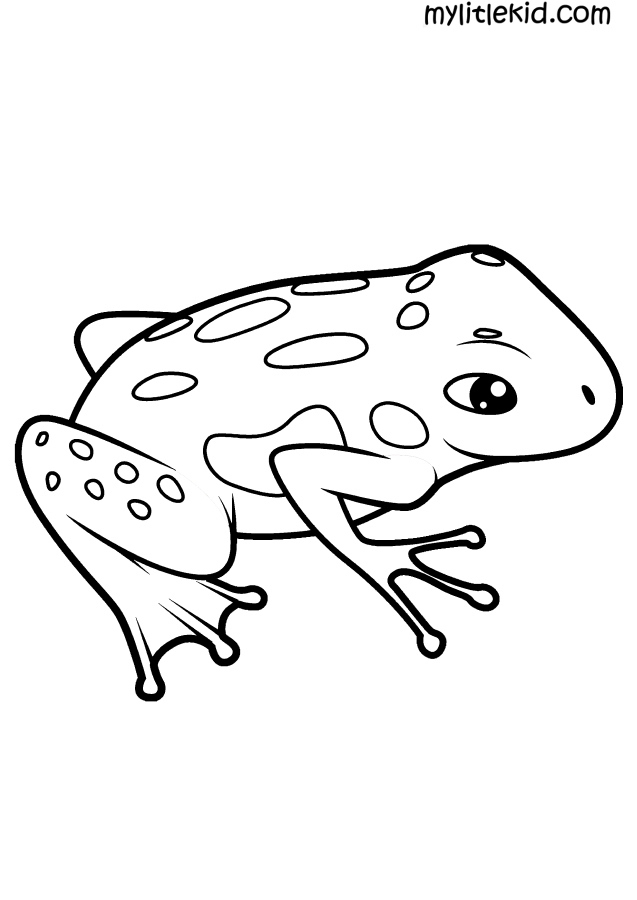 Coloriage Grenouilles. Imprimer Ou Télécharger Gratuitement pour Coloriage Animaux Être Heureux