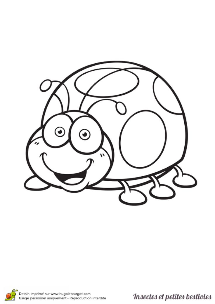 Coloriage Insecte Et Bestiole Coccinelle En 2020 | Coloriage Insectes avec Coloriage Animaux École