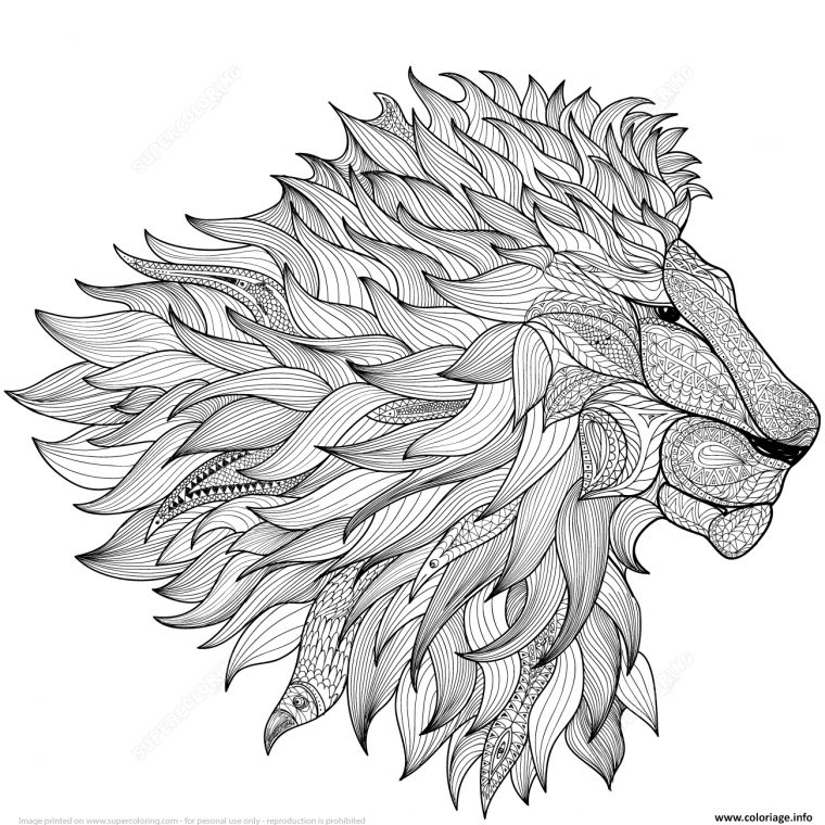 Coloriage Lion Zentangle Adulte Dessin Zentangle À Imprimer dedans Coloriage Mandala Lion