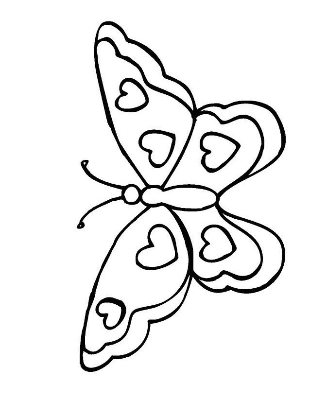 Coloriage Magique Cm1 | Search Results | Calendar 2015 pour Papillon Coloriage Magique