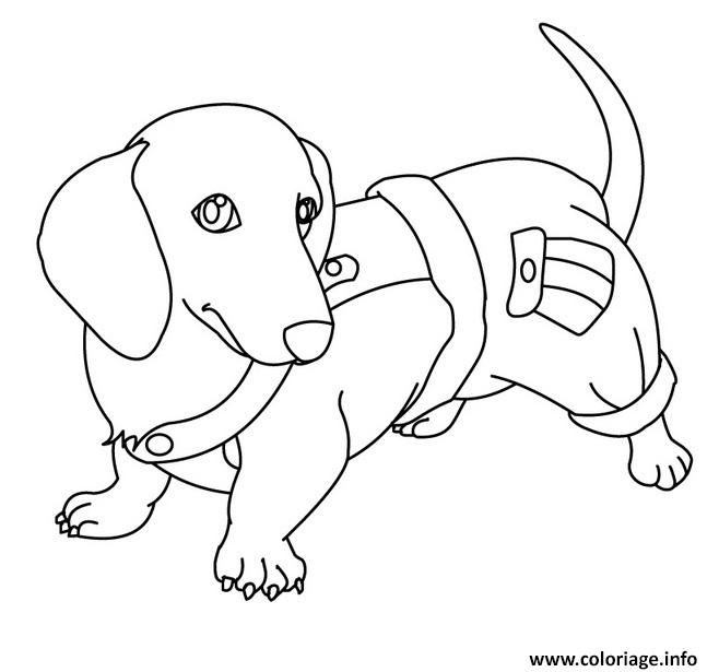 Coloriage Magnifique Chien Saucisse À Imprimer | Dog Coloring Page pour Dessin A Colorier Facile Chien