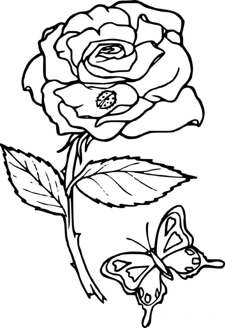 Coloriage Mandala Rose Inspirant Images Coloriage Rose Fleur À Imprimer pour Dessin A Colorier Facile Rose