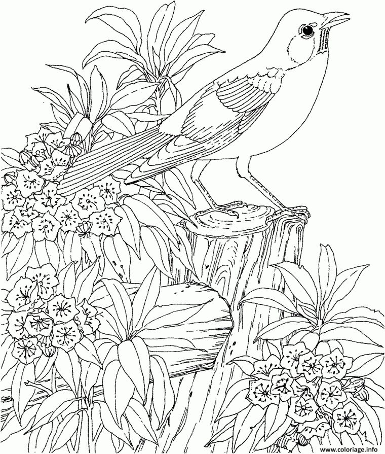 Coloriage Nature Paysage Fleurs Oiseau Dessin Nature À Imprimer avec Oiseau Coloriage Magique