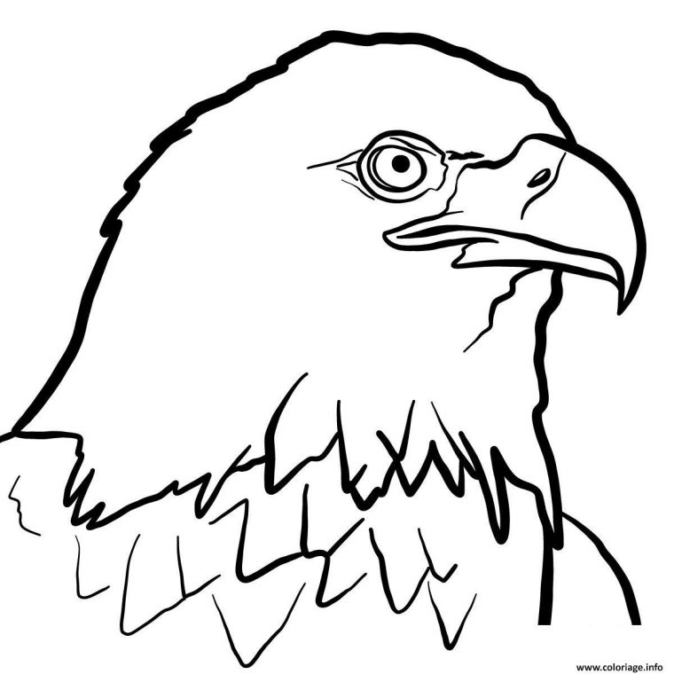 Coloriage Oiseau Aigle Royal Dessin Oiseau À Imprimer à Coloriage En Ligne Oiseau