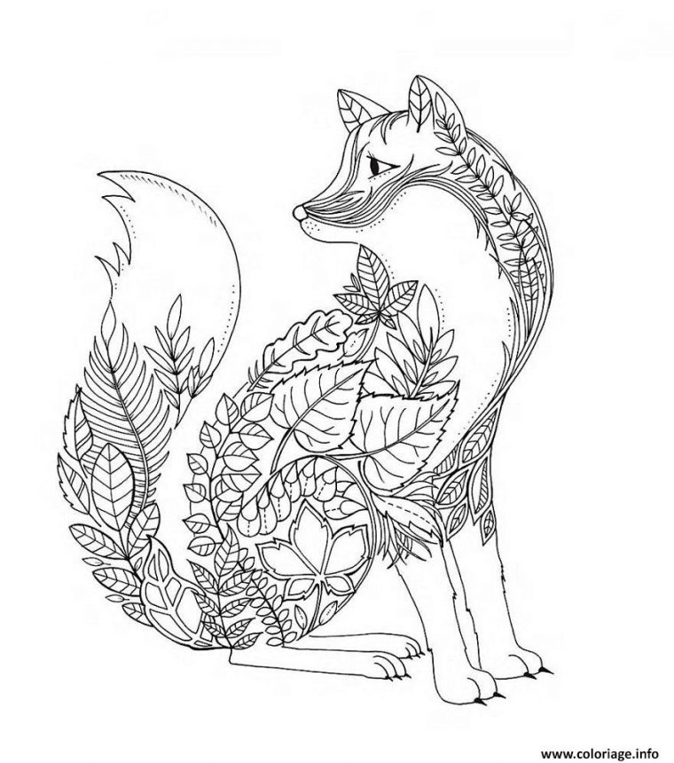 Coloriage Renard En Forme De Feuilles Et Vegetations Foret Adulte concernant Coloriage Animaux Foret Imprimer