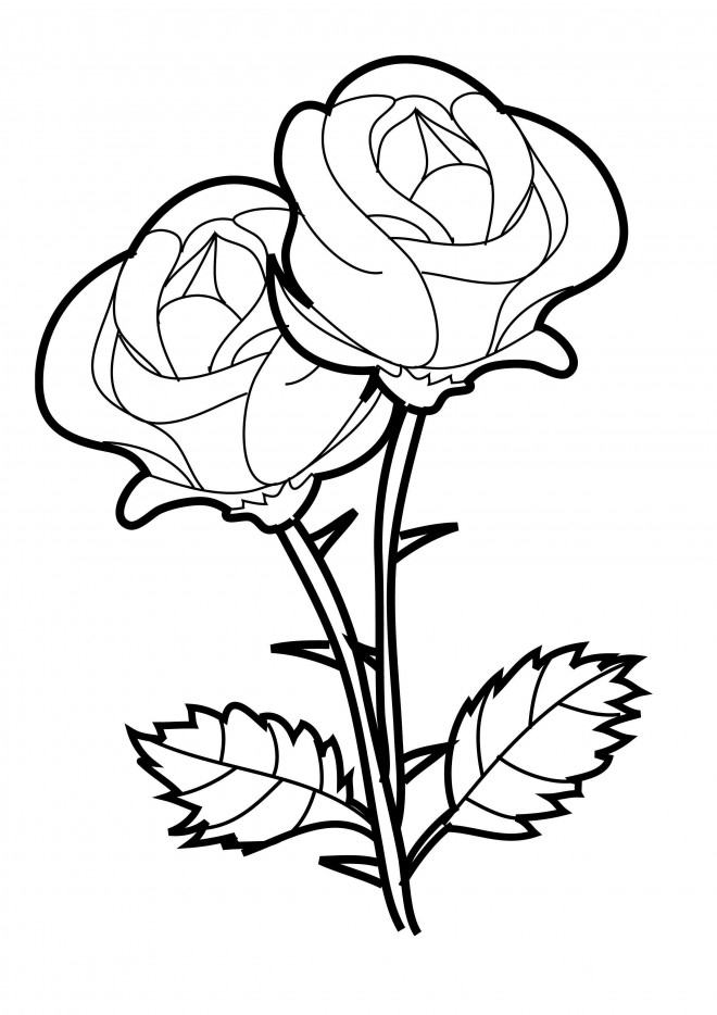 Coloriage Roses Vecteur Dessin Gratuit À Imprimer intérieur Dessin A Colorier Facile Rose