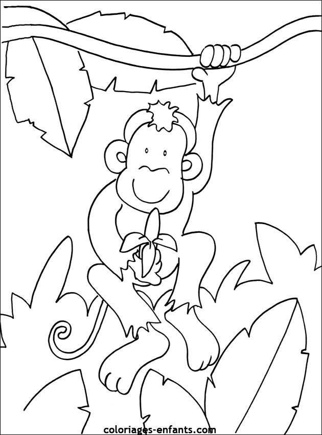 Coloriage Singe Dans La Forêt Dessin Gratuit À Imprimer serapportantà Dessin A Colorier Facile Singe