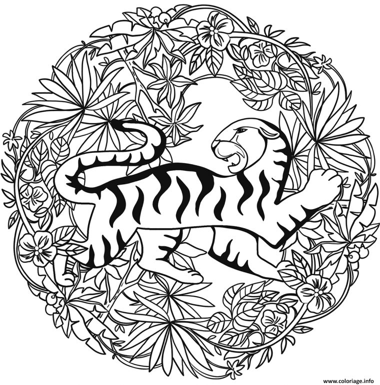 Coloriage Tigre Mandala Par Lesya Adamchuk – Jecolorie destiné Livre Coloriage Mandala Animaux