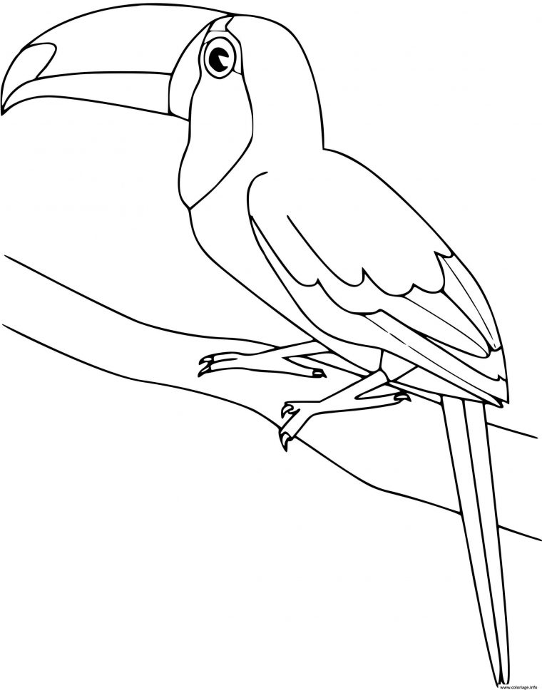 Coloriage Toucan Oiseau Dessin Oiseau À Imprimer concernant Oiseau Coloriage Magique