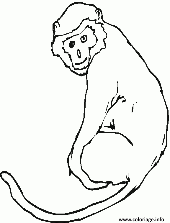 Coloriage Un Singe Avec Sa Queue Dessin Singe À Imprimer à Dessin A Colorier Facile Singe