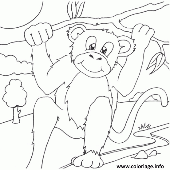 Coloriage Un Singe Dans La Foret Dessin Singe À Imprimer pour Dessin A Colorier Facile Singe