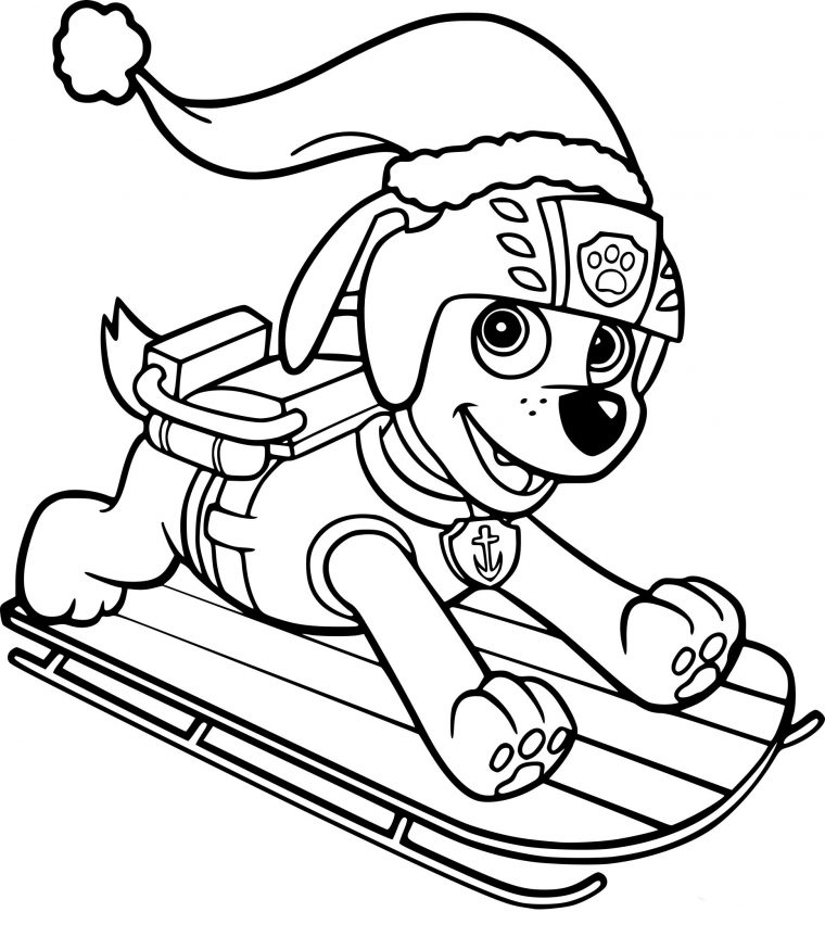 Coloriage Zuma Pat Patrouille Portrait | Coloriage Reimansa concernant Paw Patrol Dessin A Imprimer